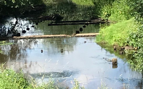 Okeransicht Neubrück, alter Mühlenstandort