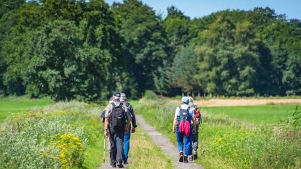 Wandern im Vörder Land