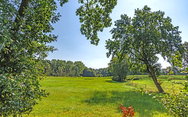 Saftige Wiesen zwischen Bevern und Plönjeshausen
