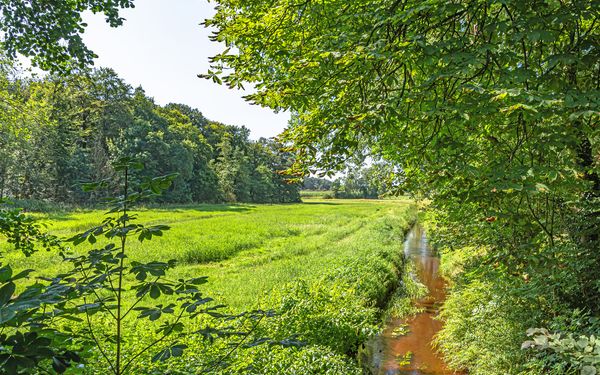 Der Fluss Bever in der Natur rund um Bevern
