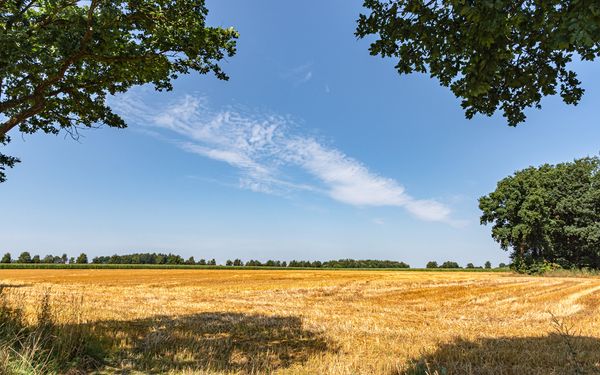 Die weite Landschaft rund um Bevern