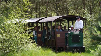 Moorbahnfahrt ins Tister Bauernmoor