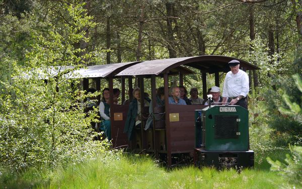Moorbahnfahrt ins Tister Bauernmoor