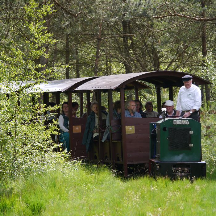 Moorbahnfahrt ins Tister Bauernmoor