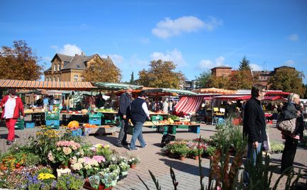 Wochenmarkt Peine