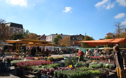 Wochenmarkt Peine