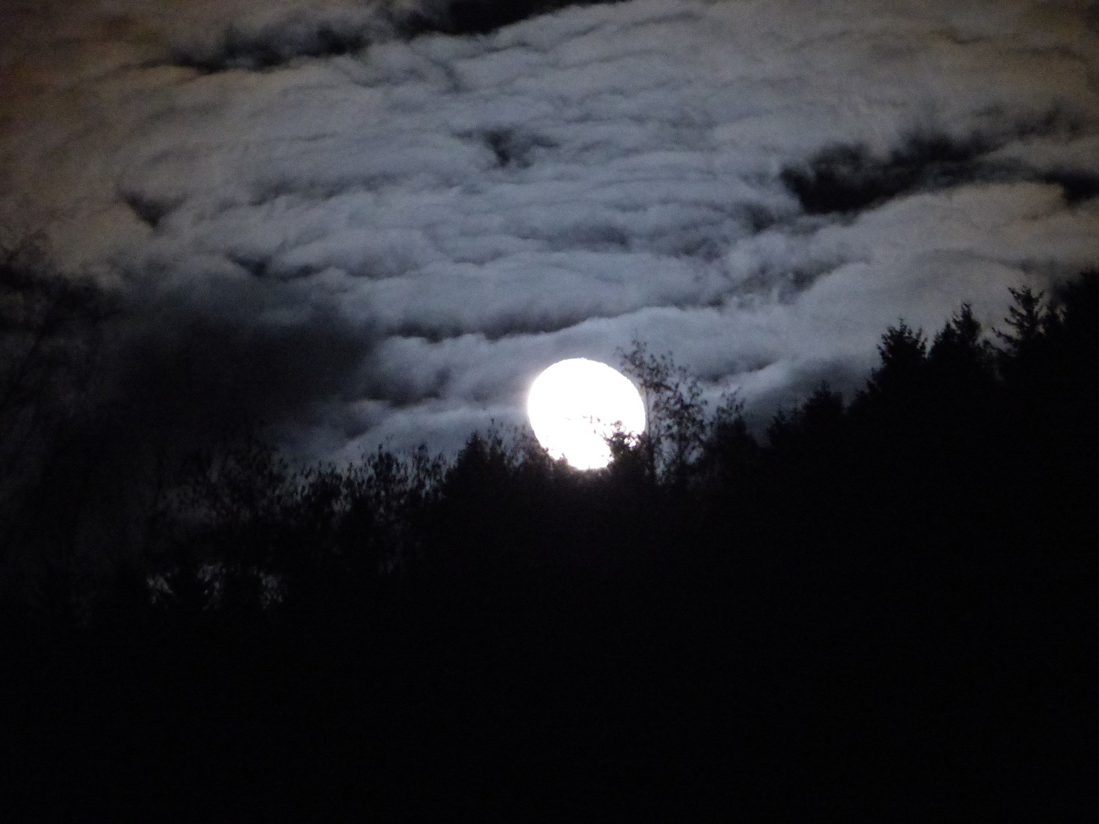 Mondschein über Wolfshagen