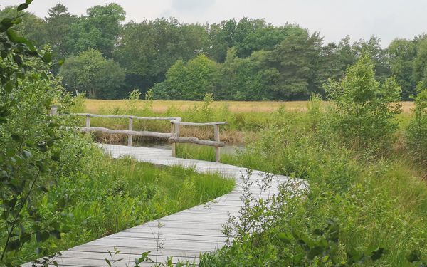 Wege des Moorerlebnispfads im Huvenhoopsmoor