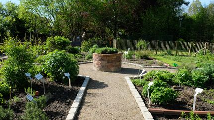 Der Heilkräutergarten am Heimathaus Sittensen
