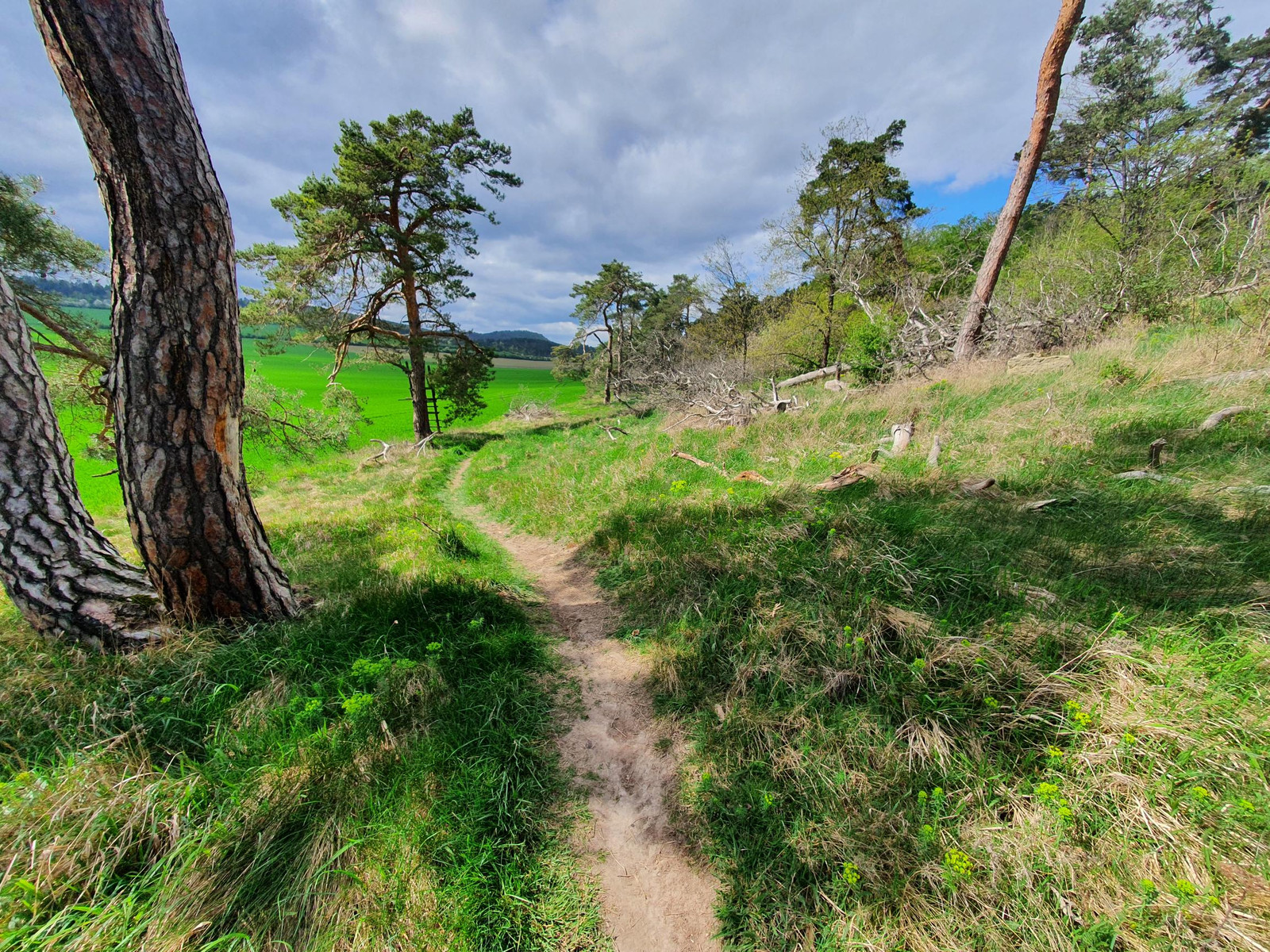 Halberstadt - Harsleber Berge