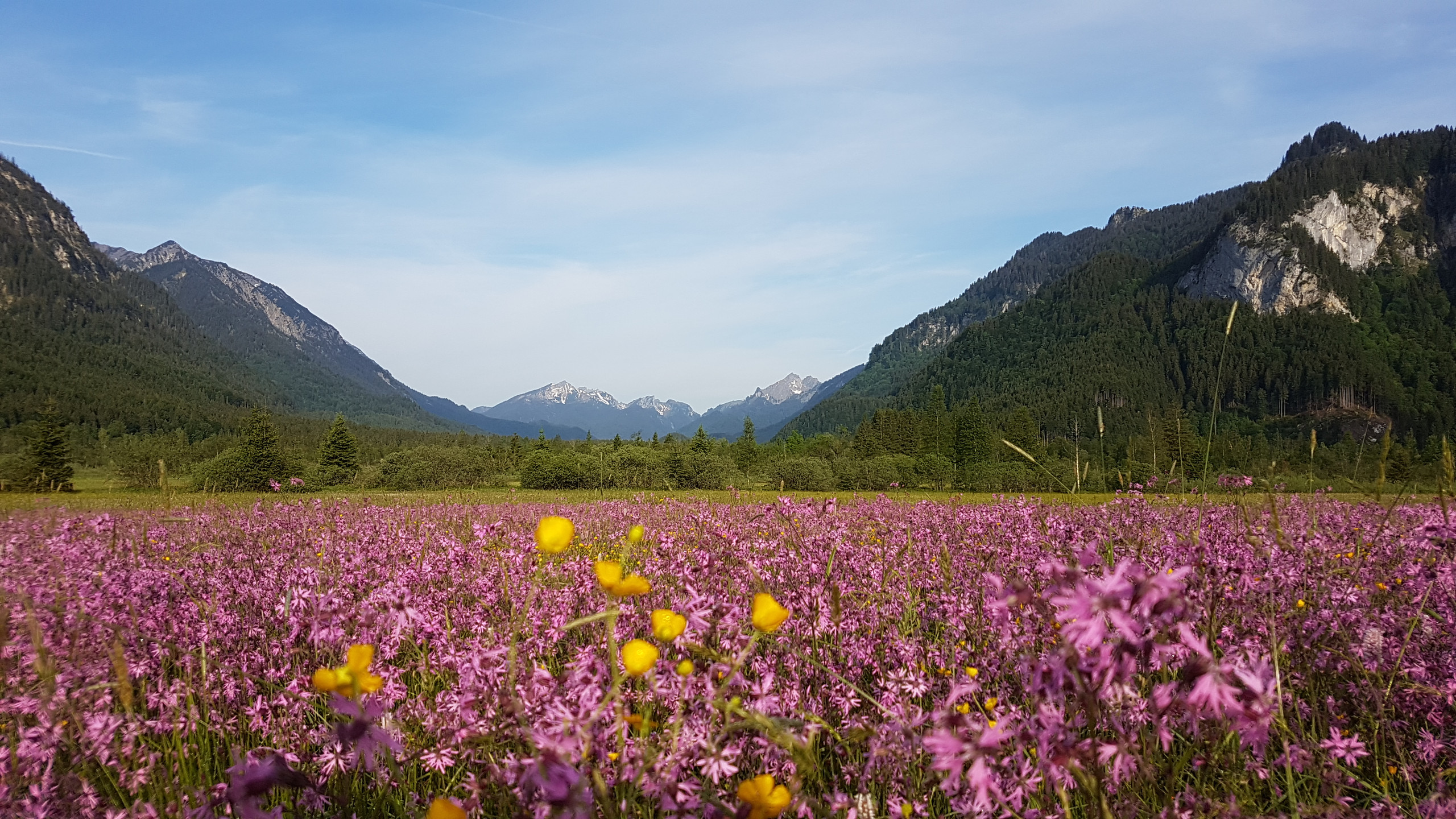 Детский нудизм