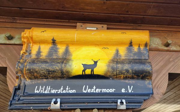Wildtierstation Westermoor