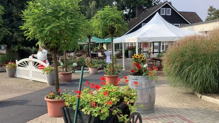 Blick auf den gemütlichen Außenbereich des Landgasthaus