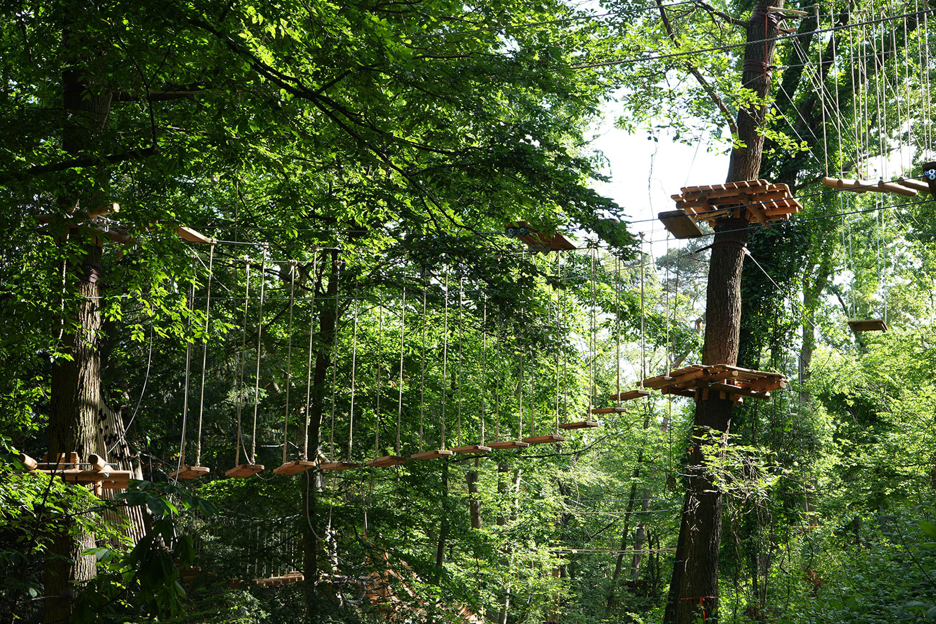 Kletterwald Im Deutsche Bank Park kletterwald-im-deutsche-bank-park