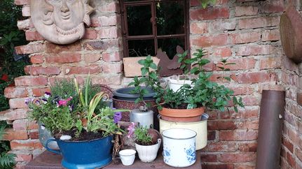 Mauer mit Ofen und Blumen