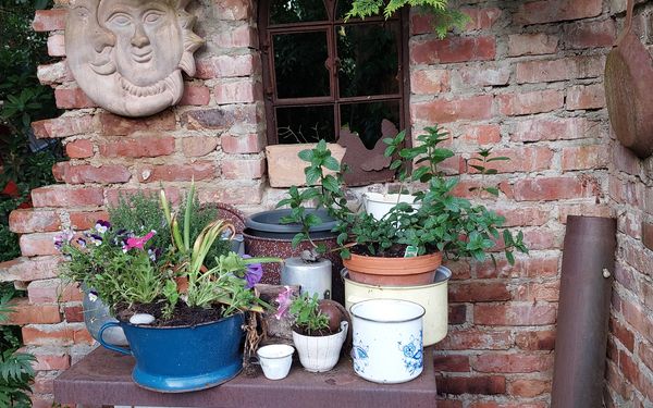 Mauer mit Ofen und Blumen