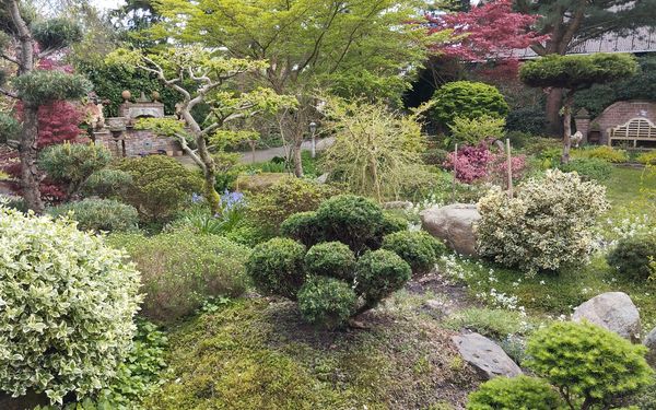 Büsche und Bäume im Garten Mekelburg