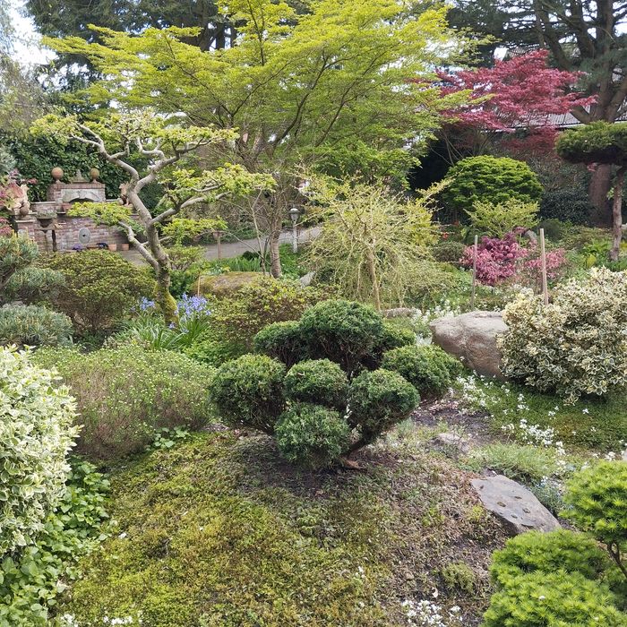 Büsche und Bäume im Garten Mekelburg