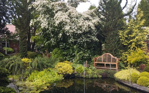 Am Teich im Garten Mekelburg