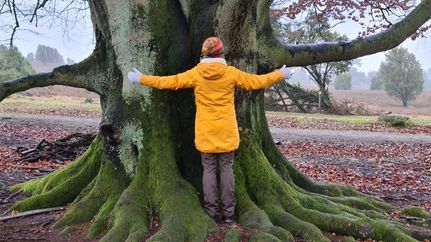 Waldyoga mit Miriam Lütjen