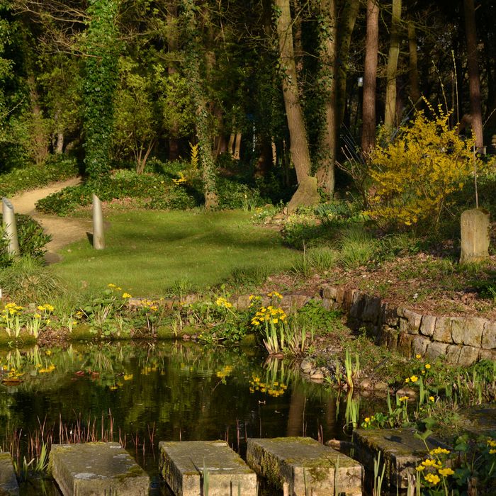 Teichidylle im Landschaftsgarten