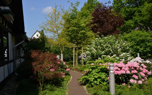 Weg im Landschaftsgarten