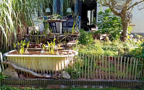 Beet in Lady Buttercups World