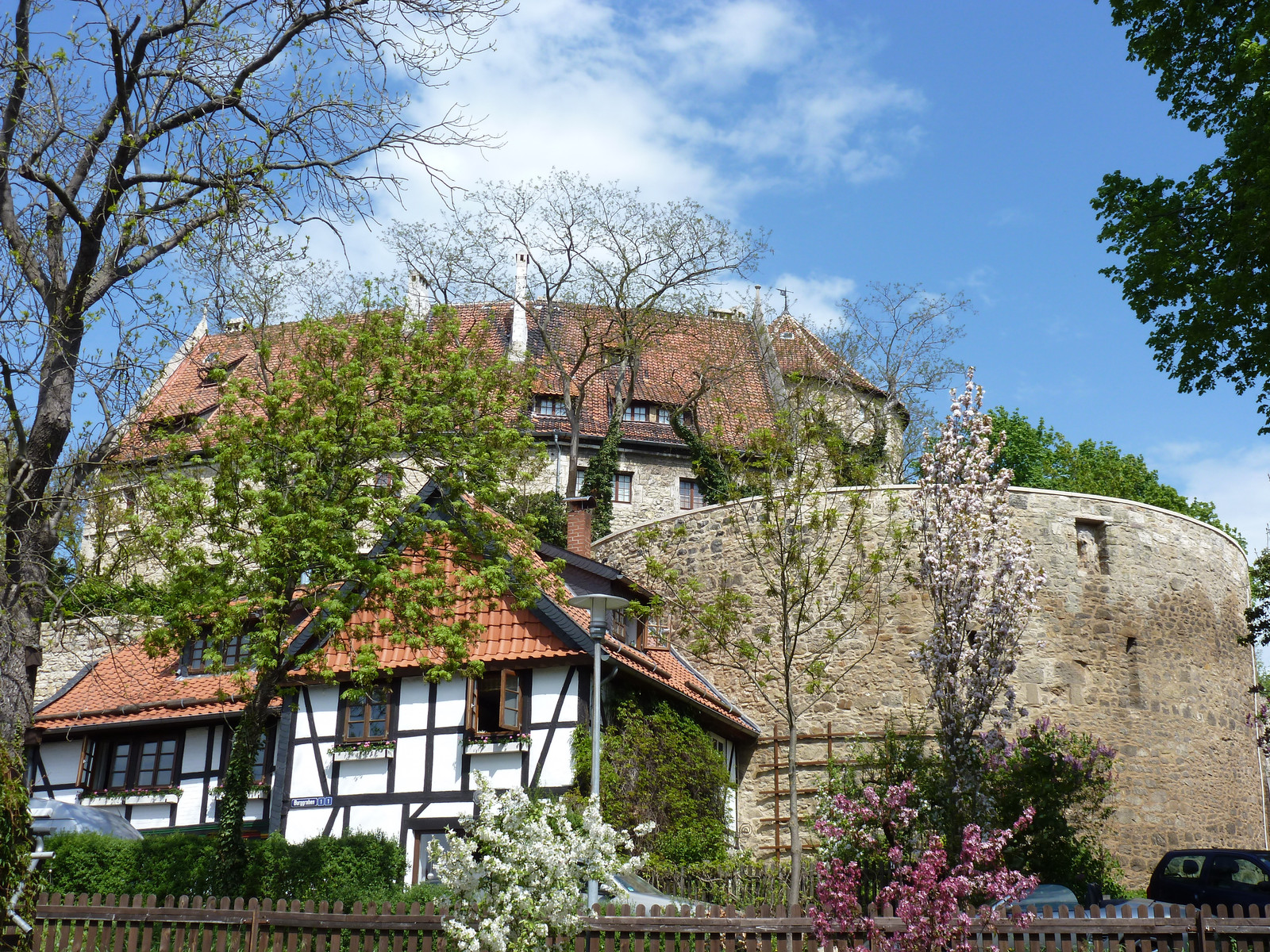 Die Hornburg im Frühling