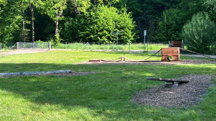 Hundespielplatz am Visselsee