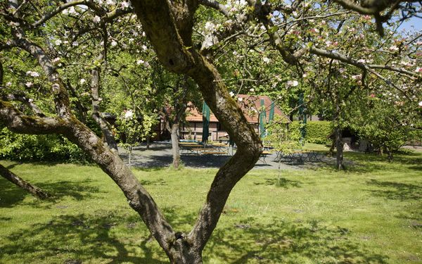 Biergarten am Heimathaus