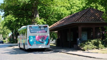 Busbahnhof Sittensen ZOB