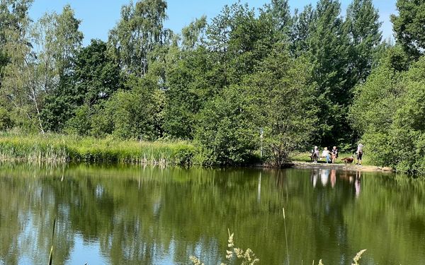 Hundestrand direkt am Hundespielplatz