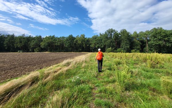 Feldweg zwischen Groß Meckelsen und Kuhbachtal