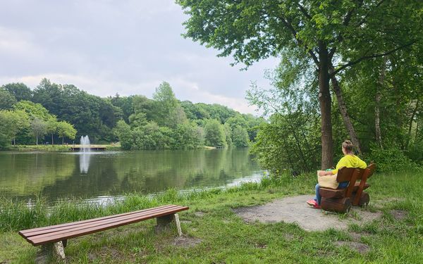 Natur pur im Bürgerpark Visselseen