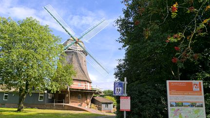 Windmühle "Henriette" Elm