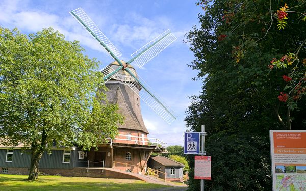 Windmühle "Henriette" Elm