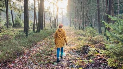 Waldyoga und Yoga Walking in Gnarrenburg