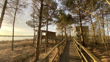 Die Moortürme im Tister Bauernmoor