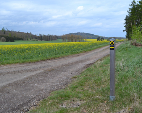 View of Eisenberg near Goldhausen with signpost