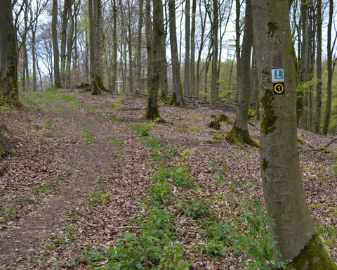 Natural path on the Eschenberg with marking signs