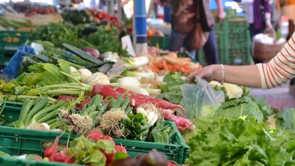 Frisch und Regional - Gnarrenburger Wochenmarkt