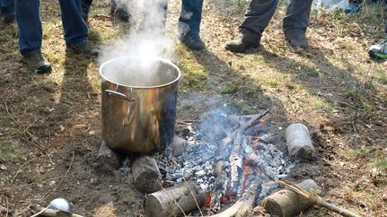 Survival Training