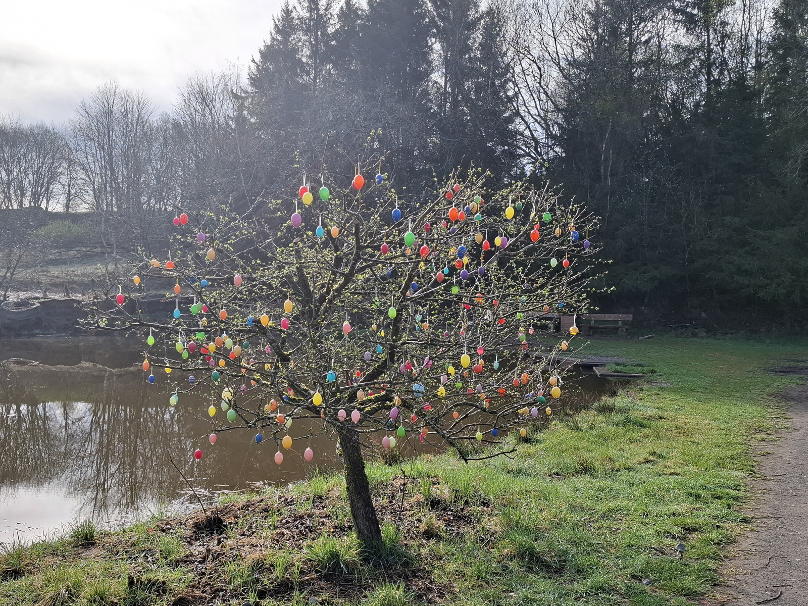 Osterbaum bei Kalles Reiterhof Benneckenstein