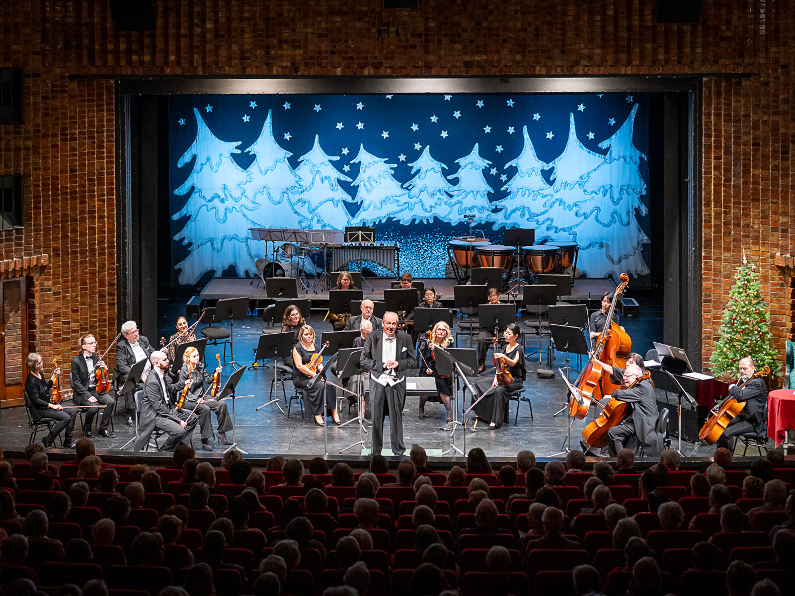 Weihnachtskonzert der Harzer Sinfoniker