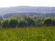 Aussicht im Naturpark Teutoburger Wald / Eggegebirge bei Bad Driburg