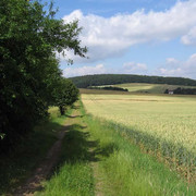 Wanderweg Limberg 2