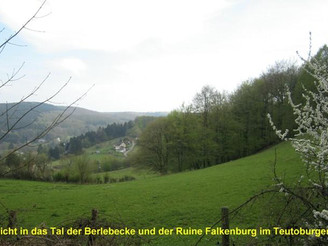 Tal der Berlebecke mit Ruine Falkenburg inmitten der weiten Wälder des Teutoburger Waldes 