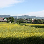 Blick auf Klosterbauerschaft und das Wiehengebirge