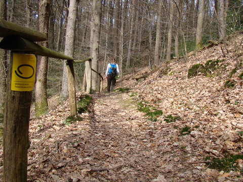 Waldweg hinter Rommersberg