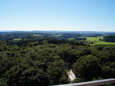 Ausblick vom Aussichtsturm auf Panarbora